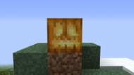 A Jack O'Lantern (Image via Minecraft)
